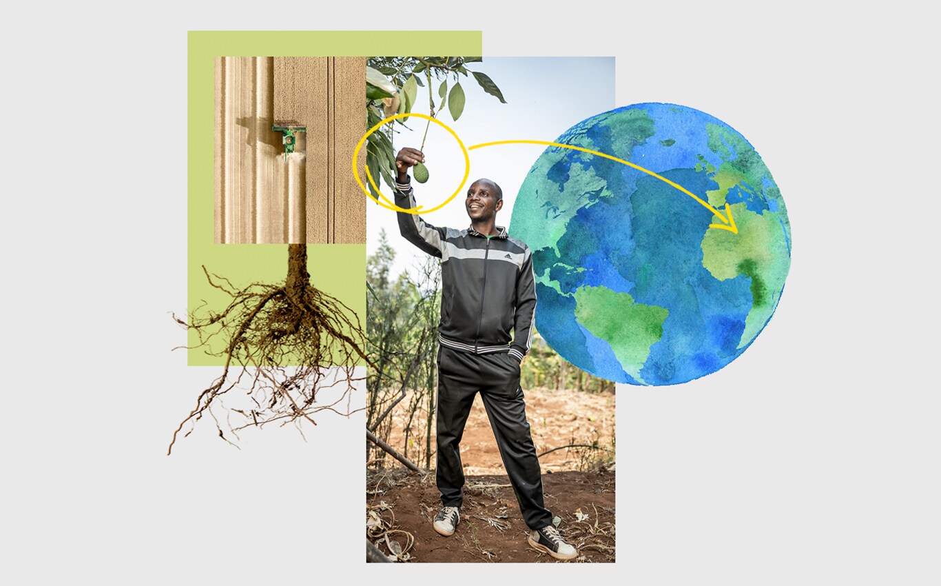 Bir tarlada John Deere silaj makinesinin havadan görünüşü, bir ağaçtan avokado alan bir kişi ve bir Dünya resminde Afrika'yı gösteren bir ok.