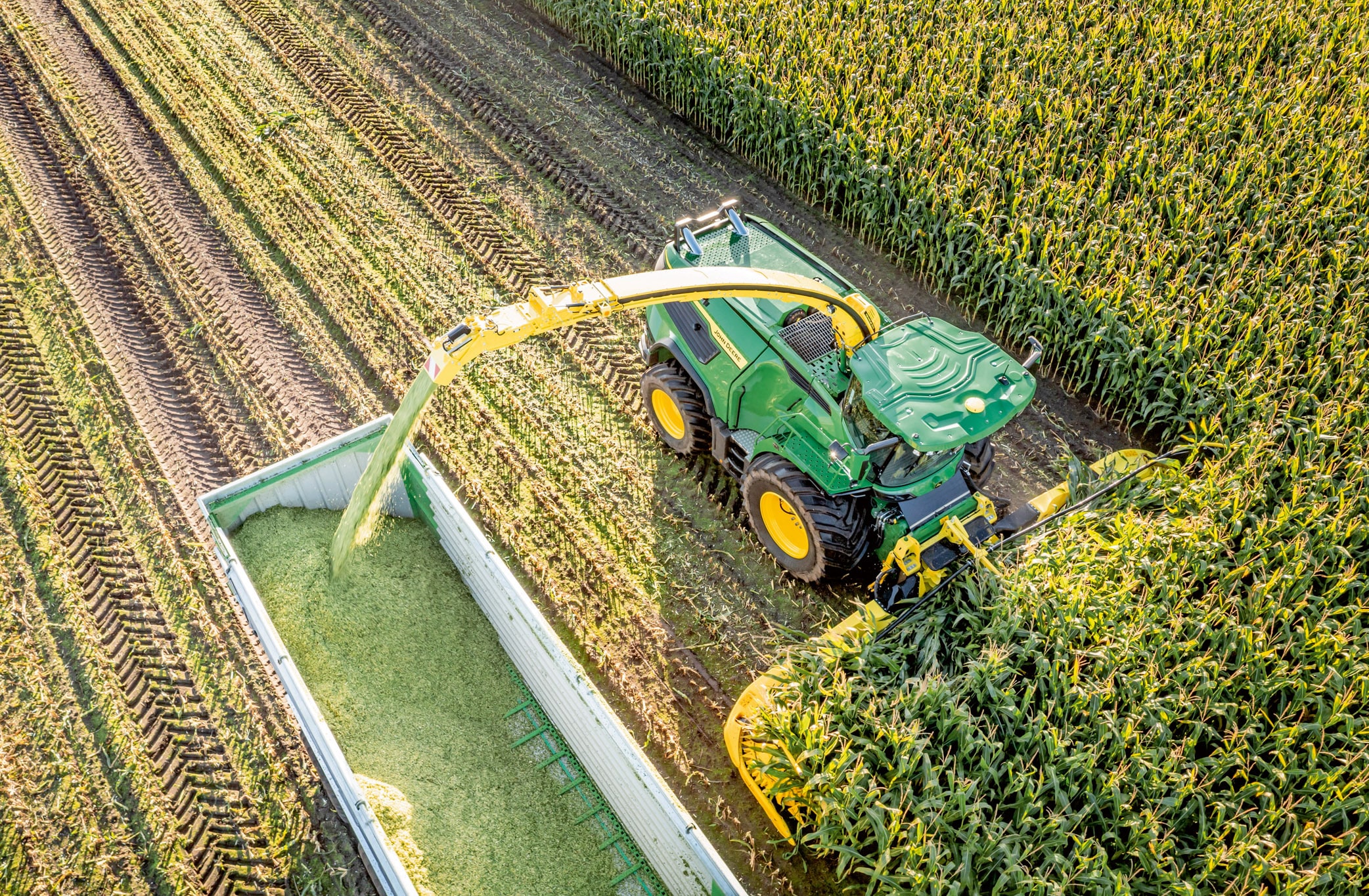 Büyük bir mısır tarlasında, mısır hasat eden ve doğranmış silajı bir römorka aktaran yeşil bir John Deere silaj makinesinin havadan görünümü.